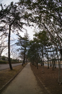 森林公園緑道