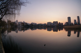 夕暮れ時の上野の不忍池