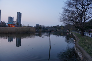 上野の不忍池