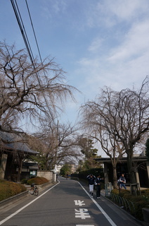 板橋区赤塚の東京大仏付近の風景