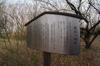 赤塚溜池公園の城跡