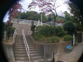 板橋区上板橋、前野町付近の公園