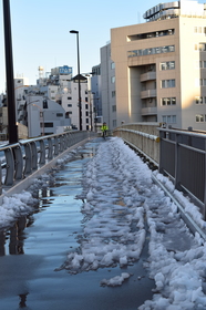 2016年1月18日の東京の大雪の日に、池袋のごみ焼却場がある陸橋でD5300で雪景色を撮影